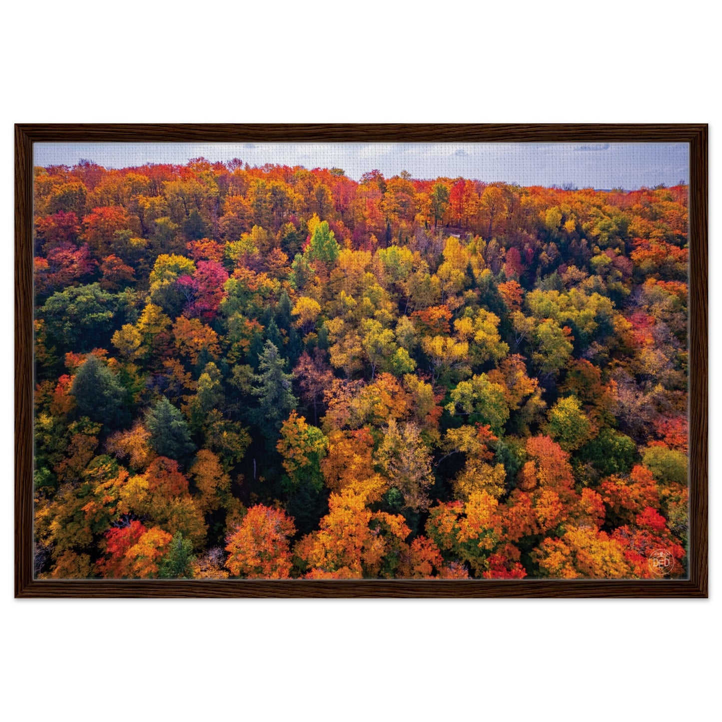 fea39111-08fa-4062-ad10-6c6990b83b88