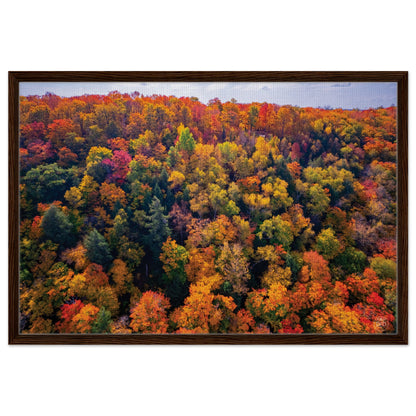 fea39111-08fa-4062-ad10-6c6990b83b88